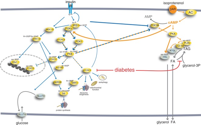 Figure 15.