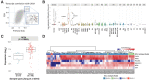 Figure 2. SEZ6 is expressed in NE SCLC with minimal expression in normal tissues. A, Comparison of pairwise Pearson correlation between CHGA and all cell surface markers in PDX setting (y-axis) and in human primary setting combined across three published human cohorts (refs. 15–17; x-axis). B, Microarray data (Affymetrix Clariom D platform) of PDX shows SEZ6 expression is high in SCLC PDX, but low in normal tissues and other cancers. C, SEZ6 had upregulated expression in human SCLC tumors (n = 79) compared with the normal reference (n = 7) from the SCLC79 cohort (16). D, Hierarchical clustering with Euclidean distance and Ward linkage on expression of genes of interest in Ucologne cohort (15).