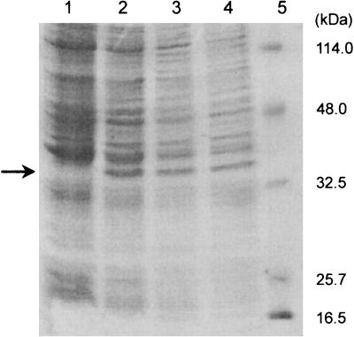 FIG. 3.