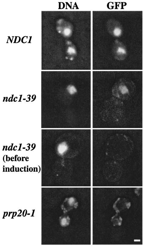 FIG. 5.