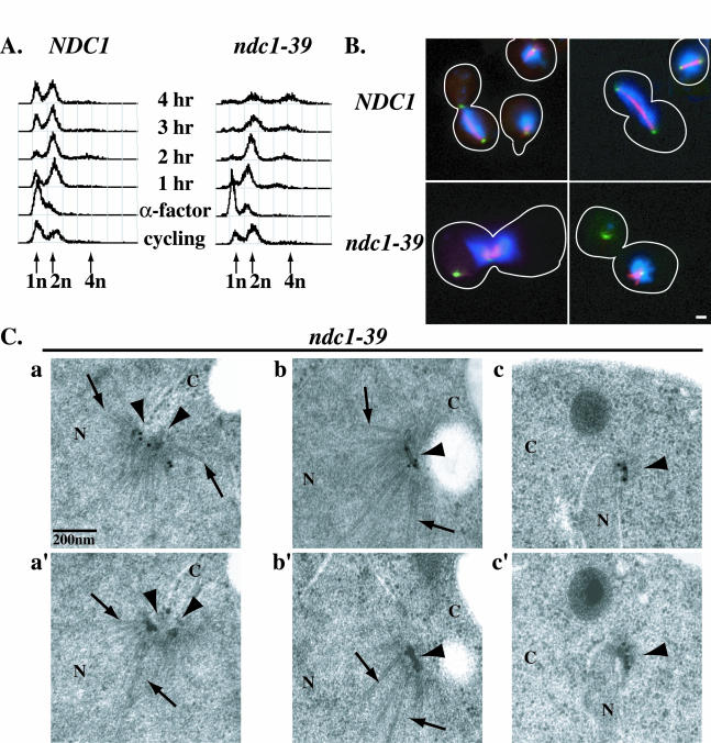 FIG. 3.