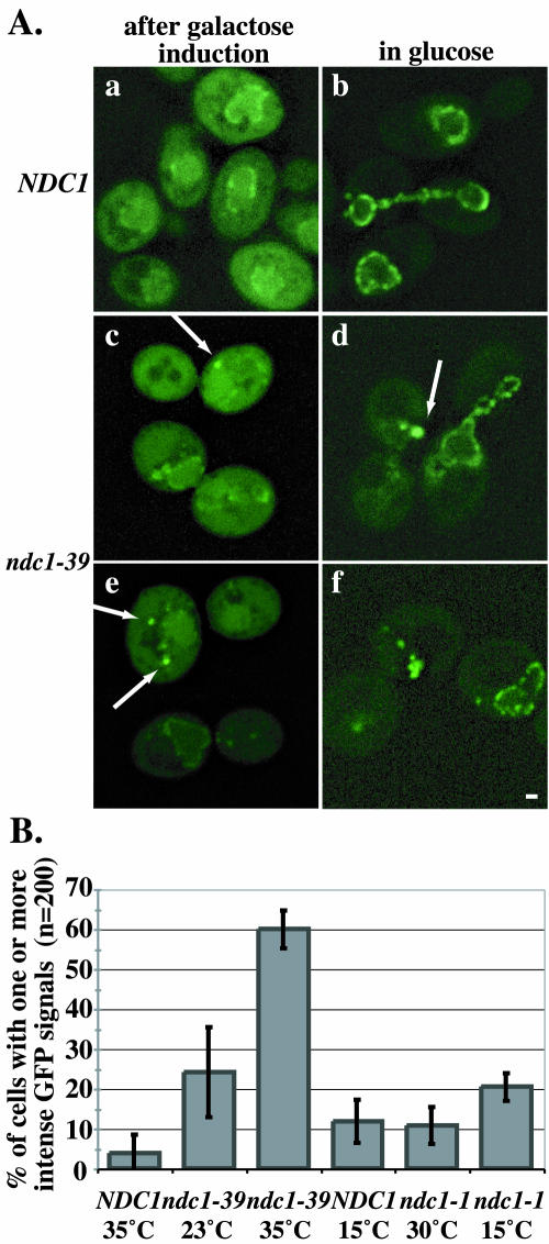 FIG. 7.