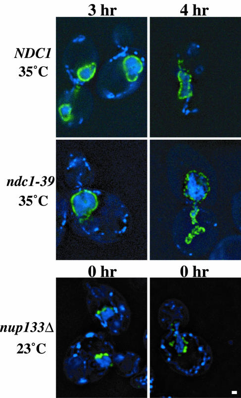 FIG. 6.