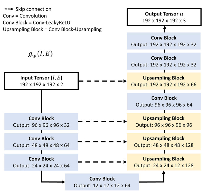 Three-dimensional (3D) U-Net convolutional neural network, gw(I,E), used to predict the displacement field defining the deformation. Input comprises a 192 × 192 × 192 × 2 array representing inspiratory (I) and affine-registered expiratory (E) images concatenated along the channel axis. Output is a 192 × 192 × 192 × 3 displacement field. The encoder consists of sequences of 3D convolutions with stride 2 and kernel size 3, each followed by a Leaky rectified linear unit (LeakyReLU) layer with parameter of 0.2. The decoder alternates between convolutions, Leaky rectified linear unit layers, and 3D upsampling.