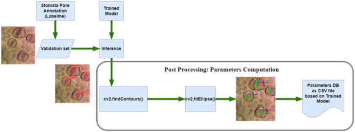 Figure 5