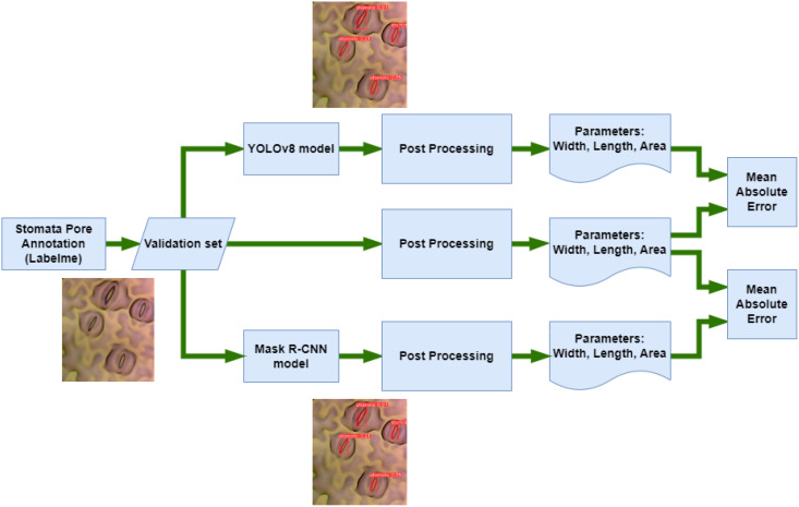 Figure 6