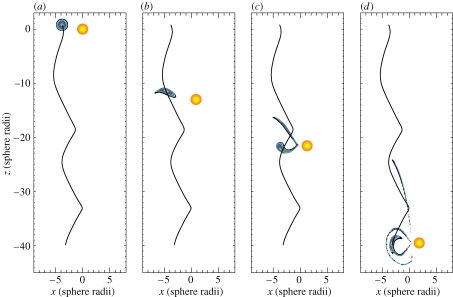 Figure 13