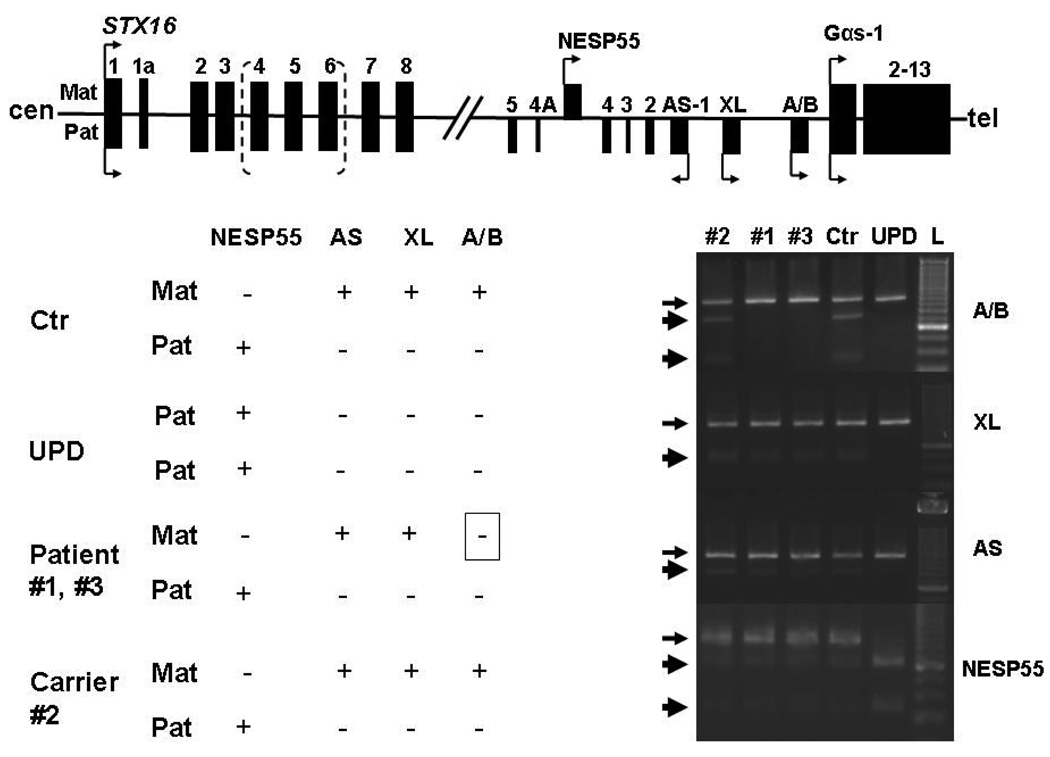 Figure 2