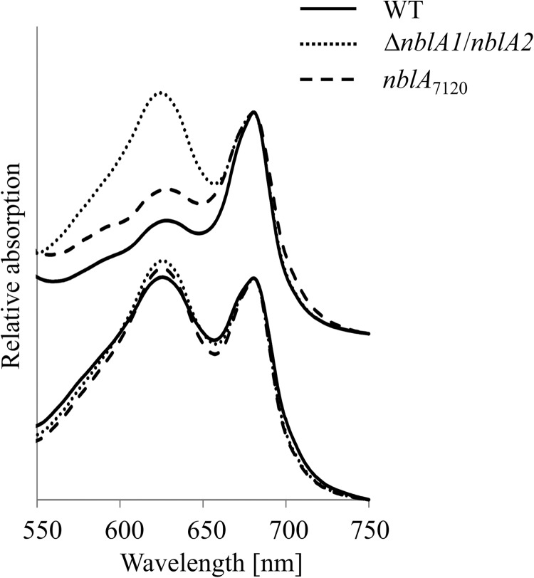 FIGURE 1.