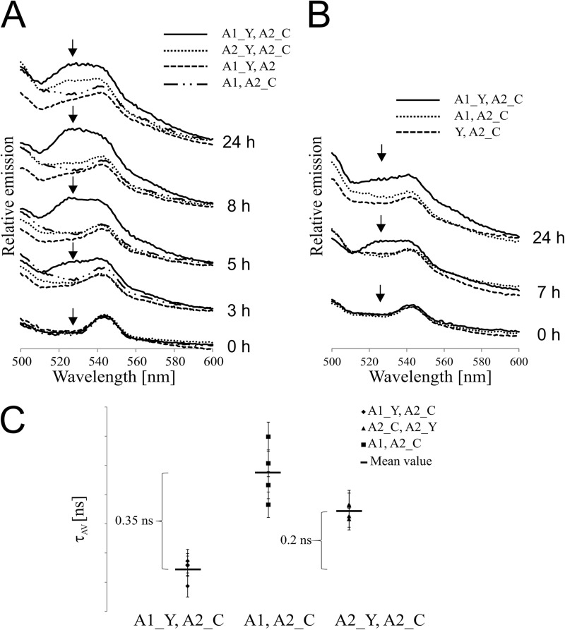 FIGURE 3.