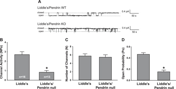 Fig. 8.