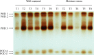 Fig 9