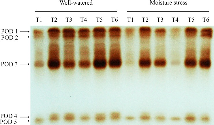 Fig 9