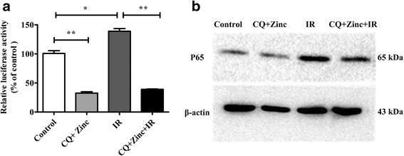 Fig. 5