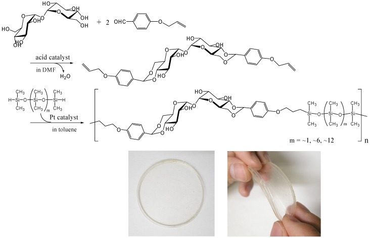 Figure 17