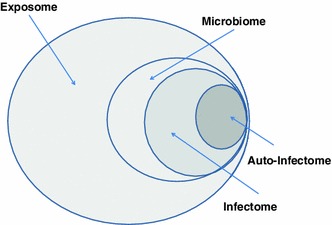 Fig. 1