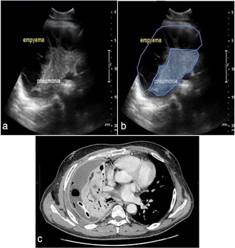 Fig. 7