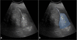 Fig. 5