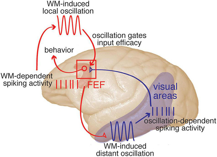 FIGURE 3