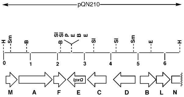 Fig. 5