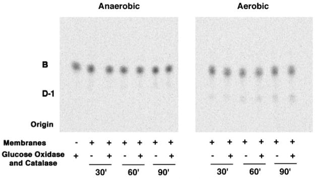 Fig. 10