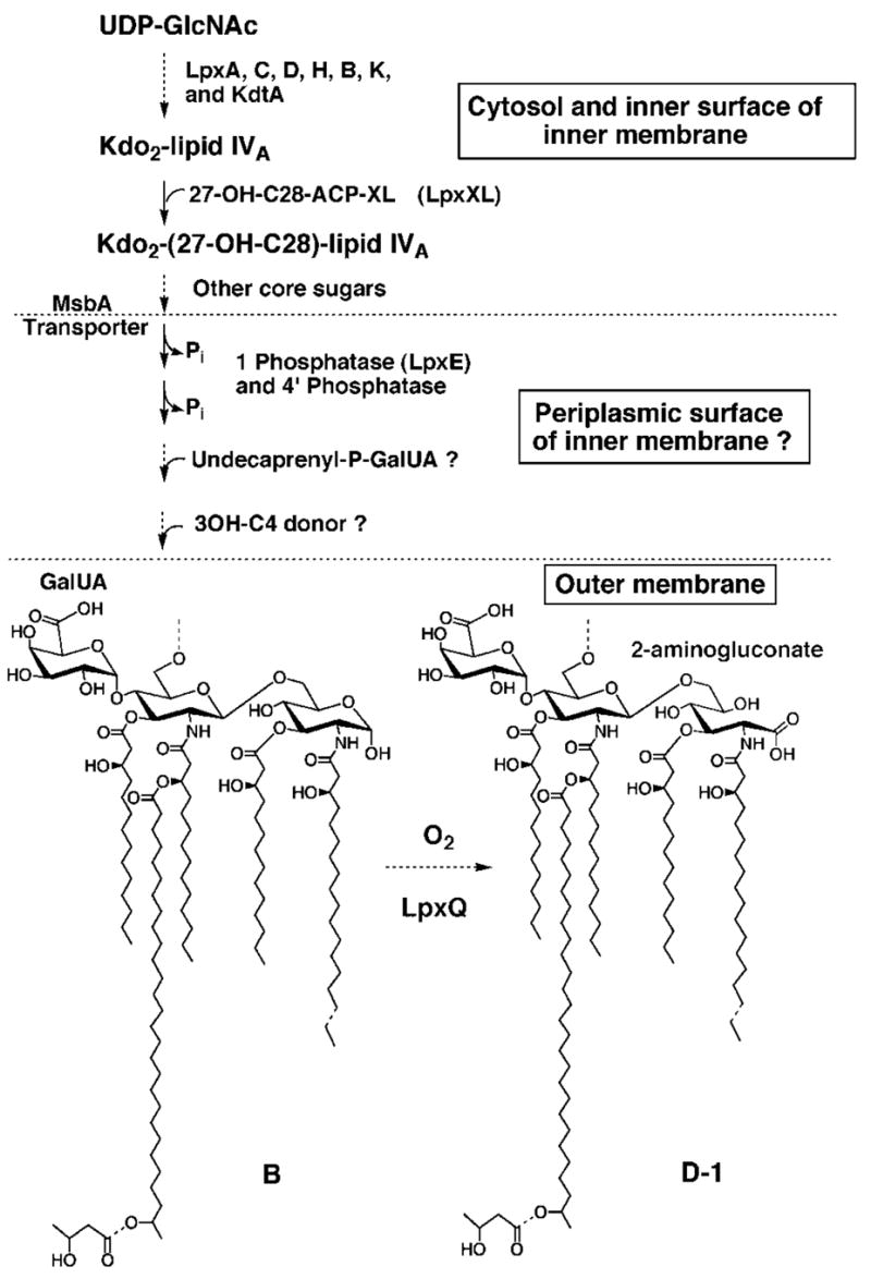 Fig. 13