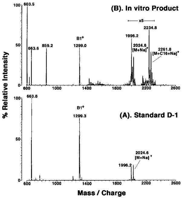 Fig. 9