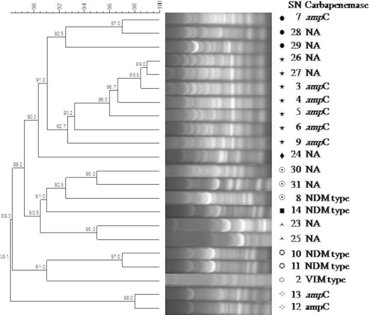 Fig. 1