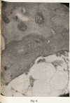 402-3