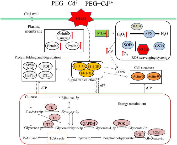 Figure 9