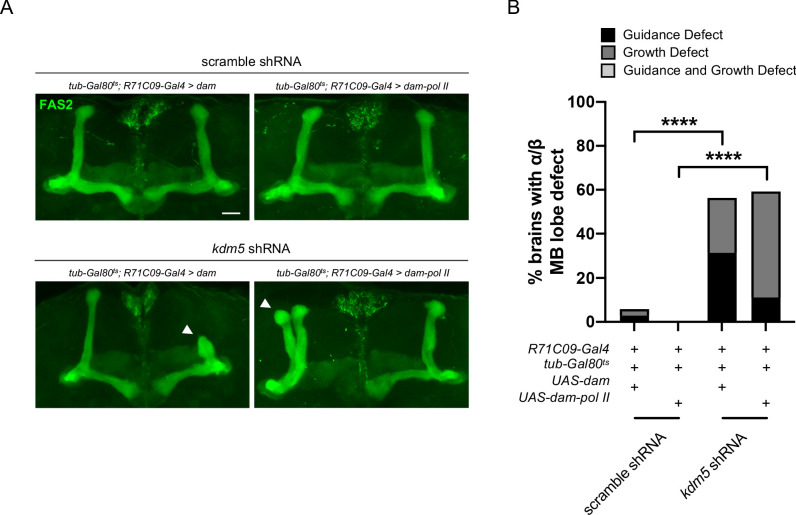 Figure 5—figure supplement 4.