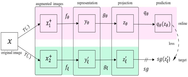 Figure 12