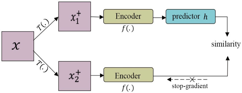 Figure 13