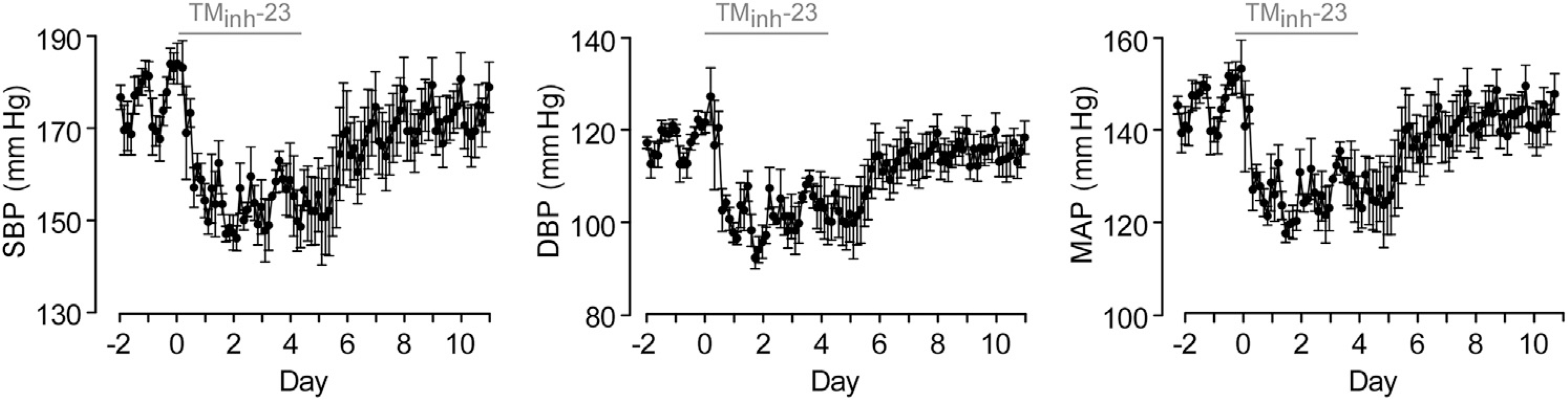 Figure 3 |