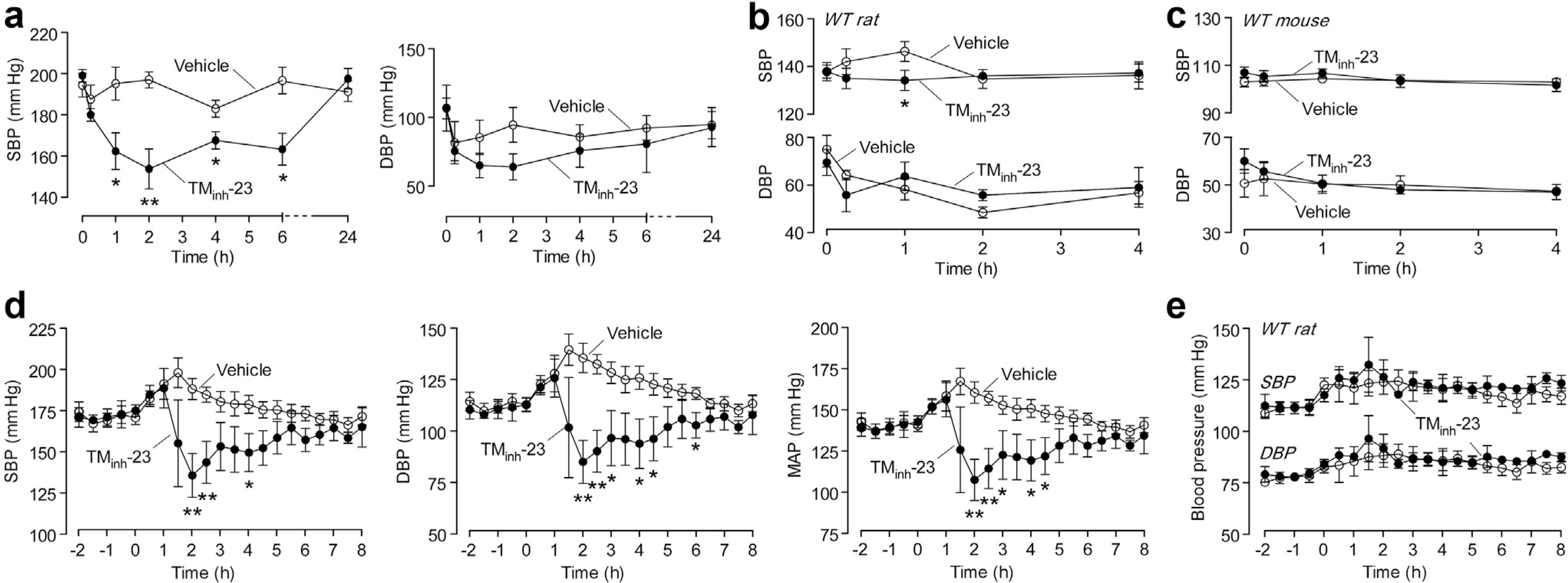 Figure 2 |