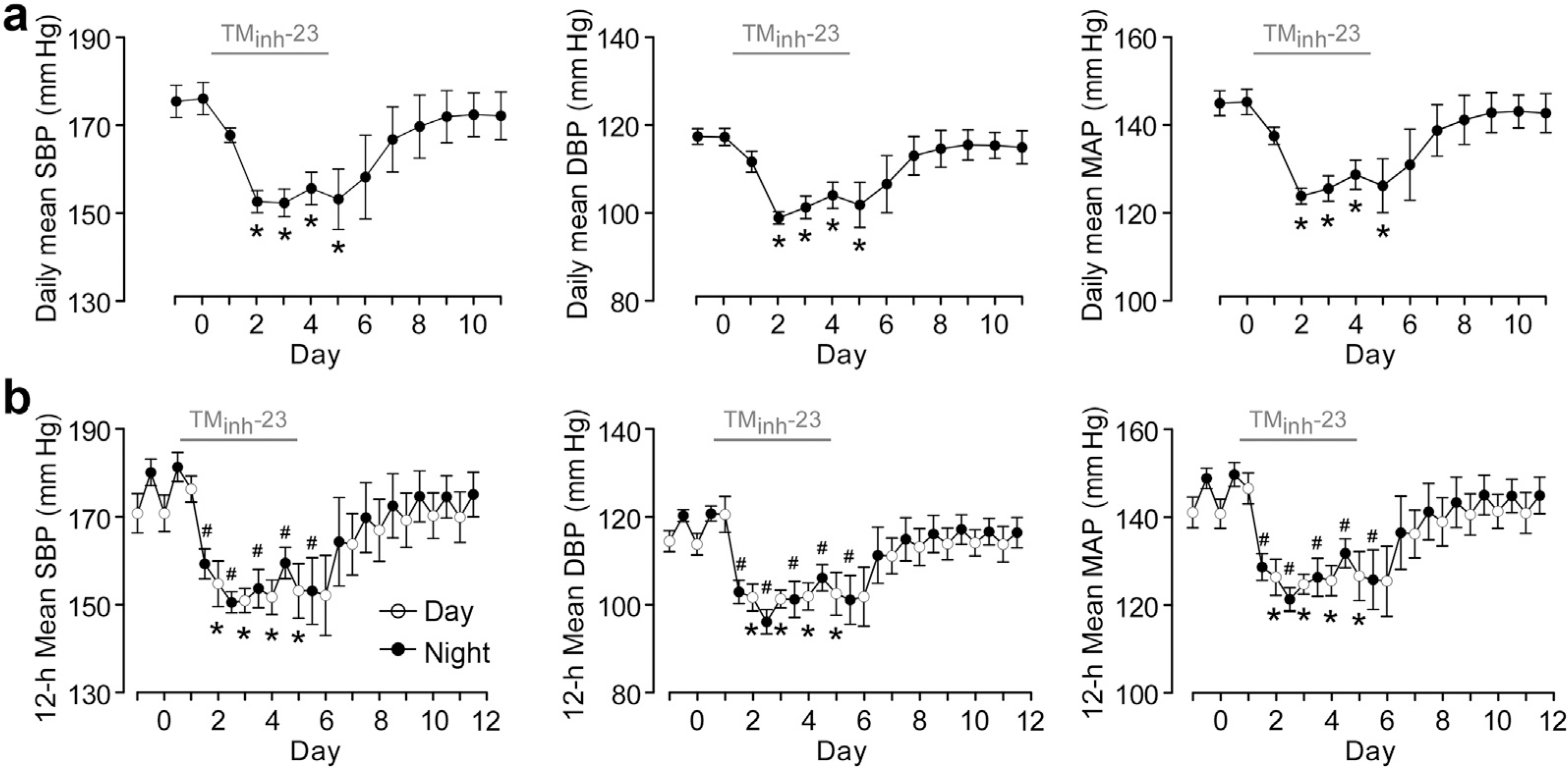 Figure 4 |