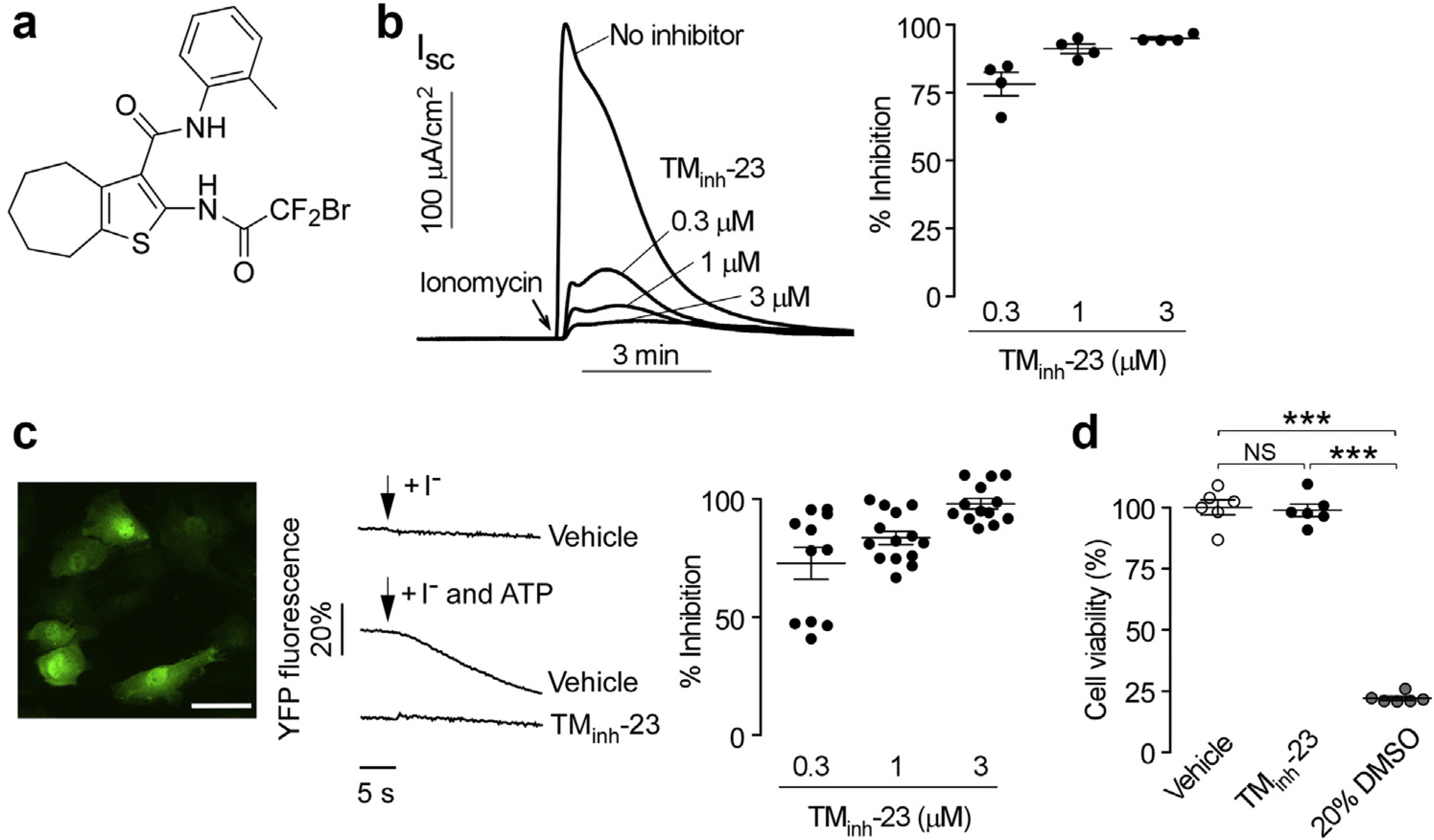 Figure 1 |