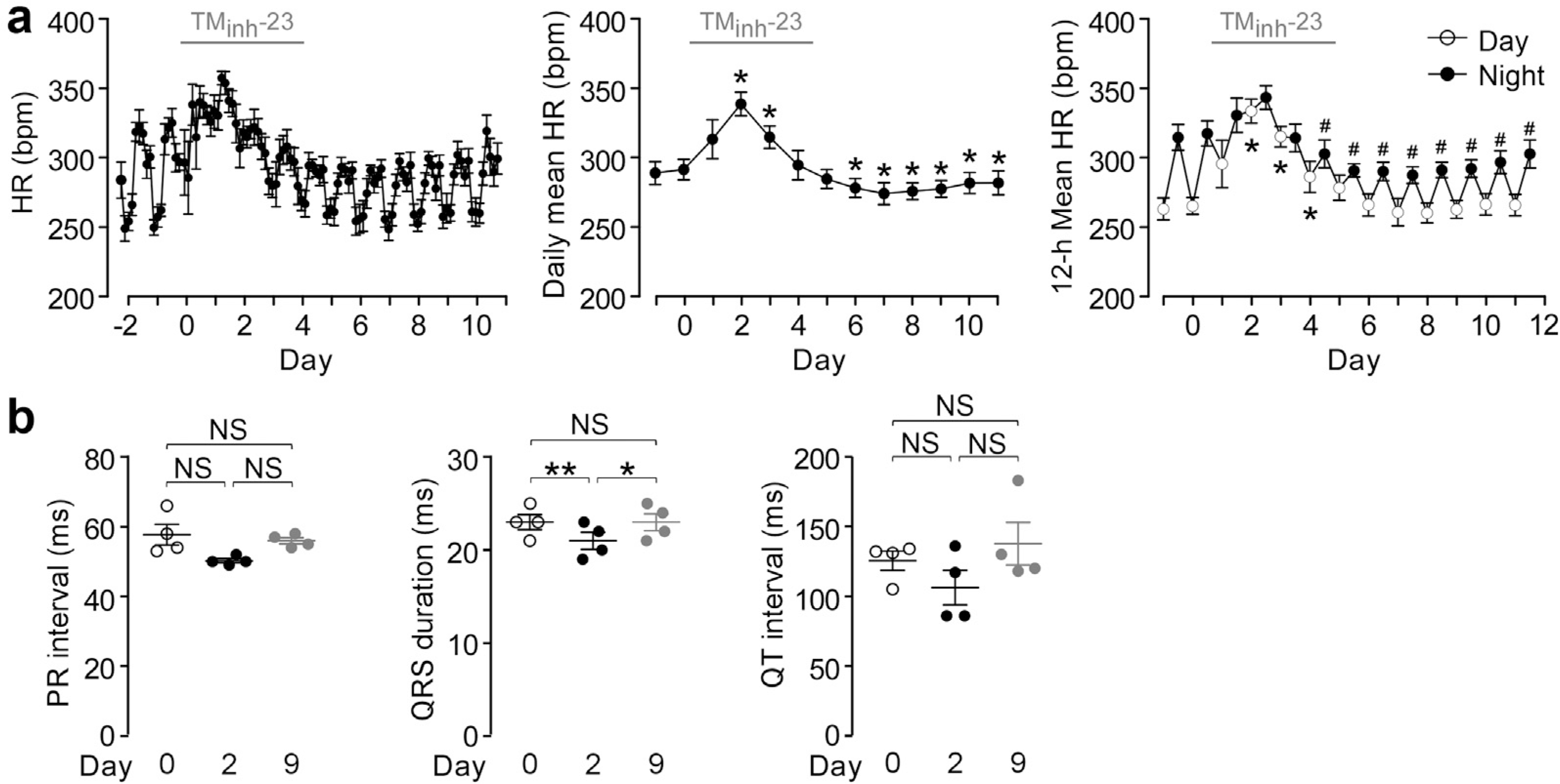 Figure 5 |