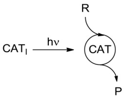 graphic file with name molecules-20-01527-i001.jpg