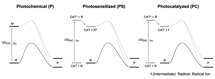 Scheme 6