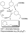 Scheme 4