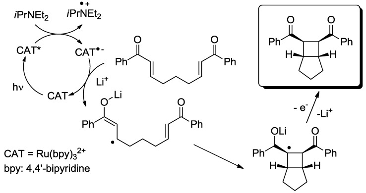 Scheme 5