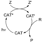 graphic file with name molecules-20-01527-i004.jpg