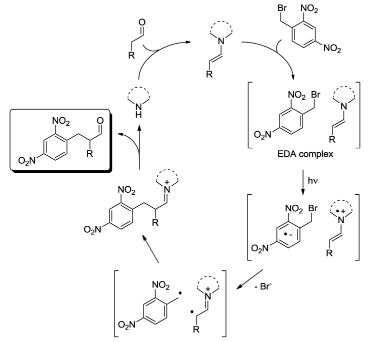 Scheme 3