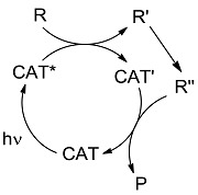 graphic file with name molecules-20-01527-i003.jpg