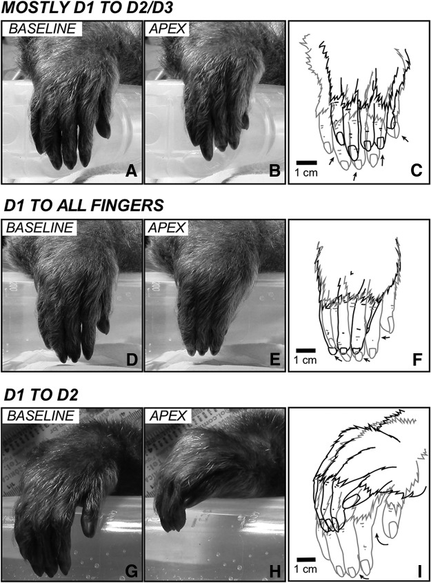 Figure 9.