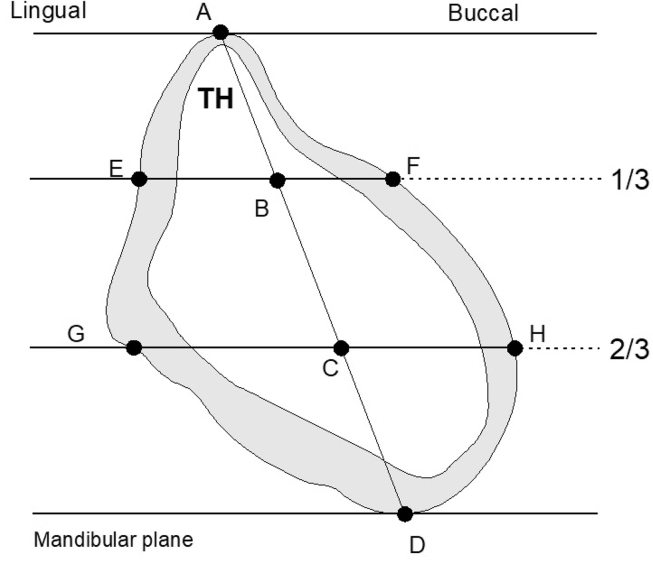 Fig. 1