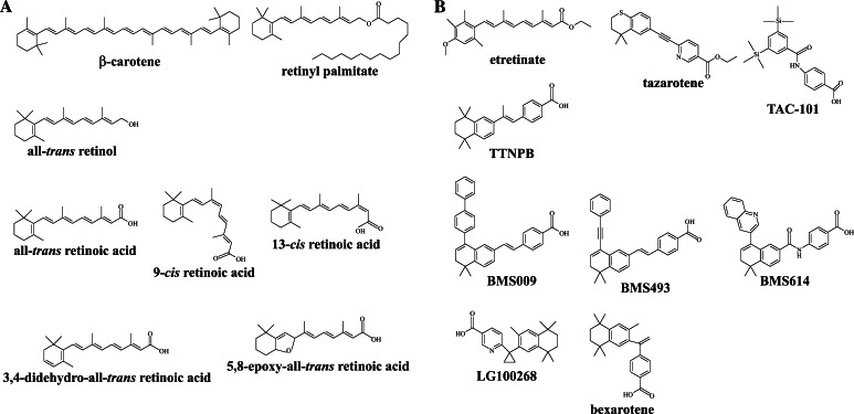 graphic file with name 18_2010_361_Figa_HTML.jpg