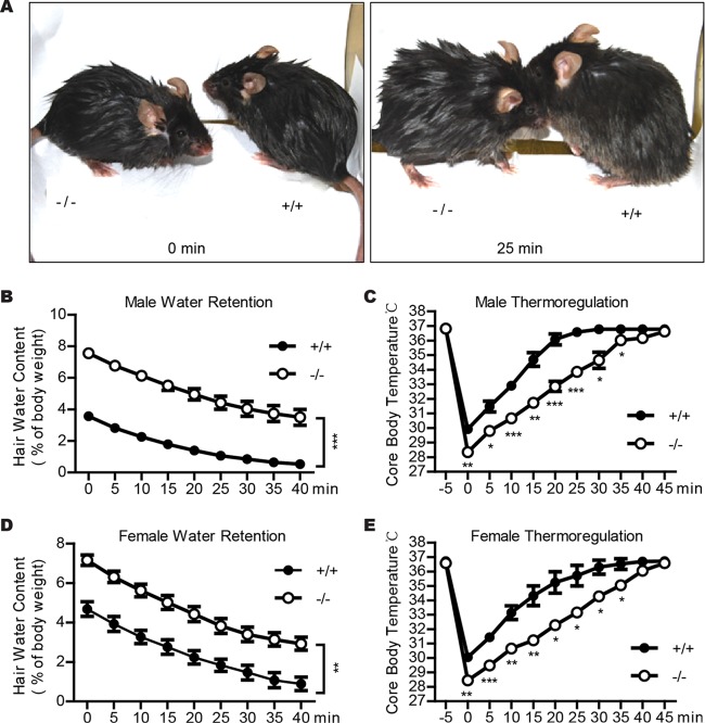 FIG 6