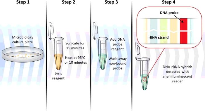 Fig 4